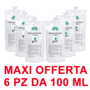 6 IGIENIZZANTI MANI 100 ML 