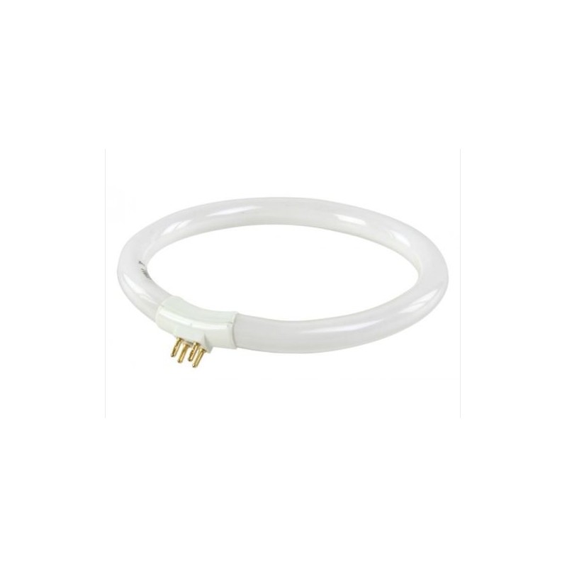 neon per lente da tavolo