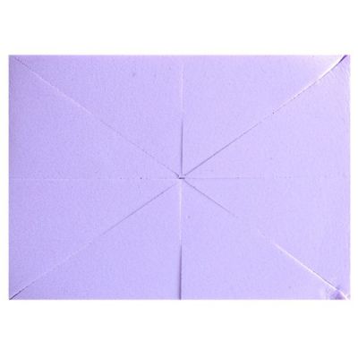 SPUGNETTA LATTICE 8 SPICCHI